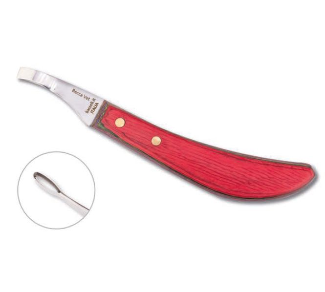 Hovedbilde Bassoli Becca vet loop