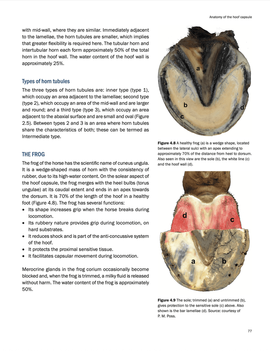 Farriery skills and knowledge bok